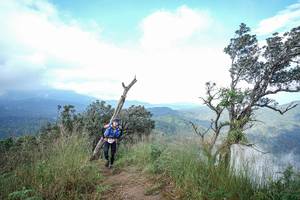 BIB: 
                            <button type="button" onclick="openModal(22372262)" class="btn btn-primary btn-sm float-right btn-popup" data-toggle="modal" data-target=".modal-high-quality">
                        <i class="fas fa-shopping-cart"></i> Add to Cart
                    </button>
                                            <button type="button" onclick="isThisMe(22372262, true)" class="btn btn-success btn-sm float-right btn-popup btn-isme hidden" data-toggle="tooltip" data-placement="bottom" title="นี่คือรูปของคุณใช่ไหม คลิกที่นี่เพื่อเอาเข้าอัลบั้ม">
                        <i class="fas fa-plus"></i> Add to album
                    </button>
                    <button type="button" onclick="isThisMe(22372262, false)" class="btn btn-warning btn-sm float-right btn-popup btn-isnotme hidden">
                        <i class="fas fa-ban"></i> Remove from album
                    </button>